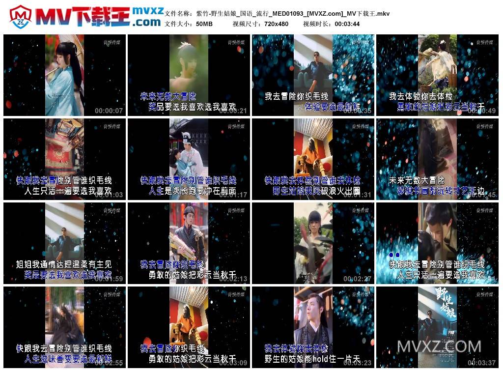 紫竹-野生姑娘_国语_流行_MED01093